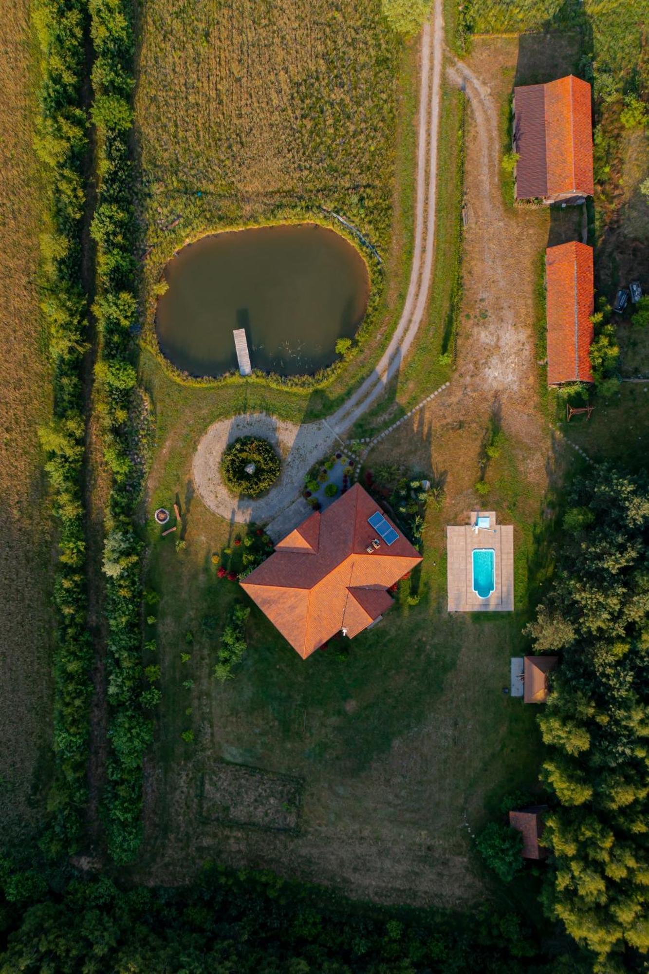 Dworek Ogrodniki, Caloroczny Dom Na Wylacznosc, Basen, Sauna, Las, Staw Rybny, Altana Grillowa, Ognisko, Pianino, Kominek, Piec Chlebowy, Duza Ogrodzona Posesja Tuczna Eksteriør billede